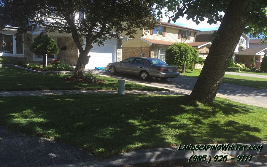 Landscaping Gardening and Sod